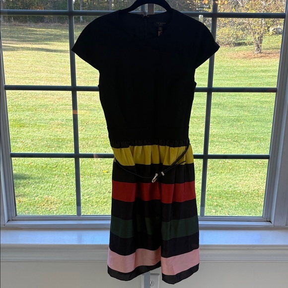 Ted Baker Aneli Cruise Stripe Fit and Flare Dress sz 4 new modern designer - Picture 7 of 16